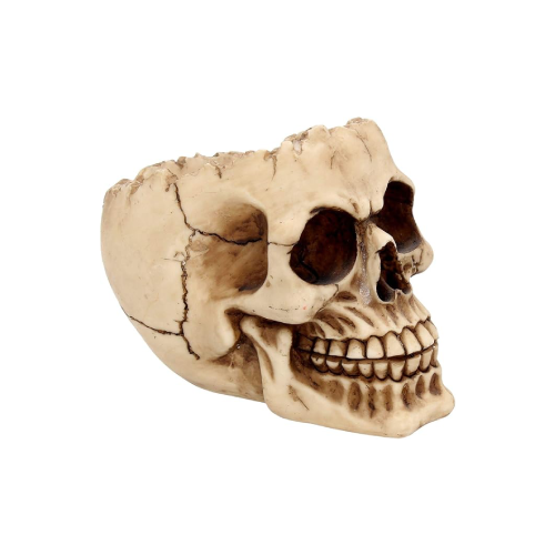 Calavera decorativa sonriente de perfil