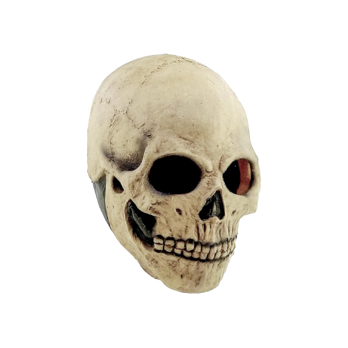 Calavera decorativa blanca con sombra oscura